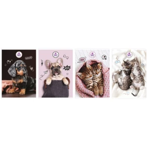 Zeszyt a5/80 kartek kratka The Sweet Pets