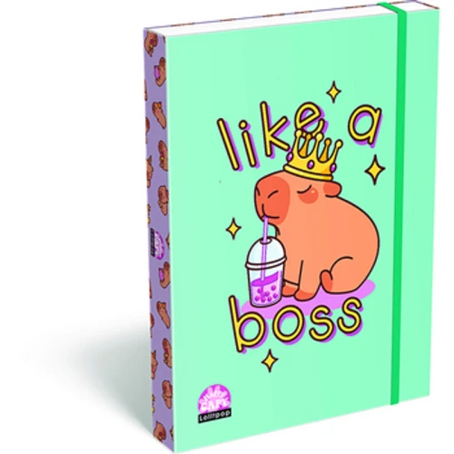 Teczka z gumką Ico Lizzy lollipop capybara przestrzenna A4 1779185252657-nvjgxc7j.png