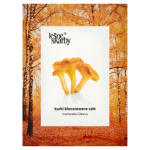 Mrożonka Kasol Kurki blanszowane całe 300 g