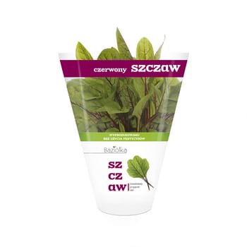 szczaw czerwony doniczka polska 1szt baziółka 3dc97a22779d6f60c886af81642dddce