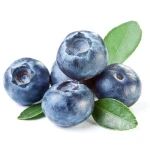 Borówka amerykańska maroko 500 g