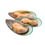 Myfood małże nowozelandzkie na połowie muszli blanszowane, rozmiar: 30-45 szt./kg, glazura: 0%, 1 kg