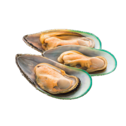 Myfood małże nowozelandzkie na połowie muszli blanszowane, rozmiar: 30-45 szt./kg, glazura: 0%, 1 kg myfood małże nowozelandzkie na połowie muszli blanszowane, rozmiar: 30-45 szt./kg, glazura: 0%, 1000 g