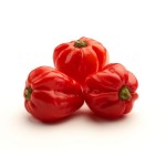 Papryka ostra habanero hiszpania 100 g