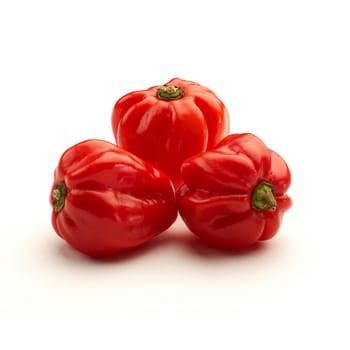 Papryka ostra habanero hiszpania 100 g f3b69a65bd6f5f9f791b71384fb296dc