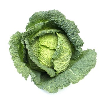 kapusta włoska polska 1szt aaad3d62e8d10d41fed05519c9228db2