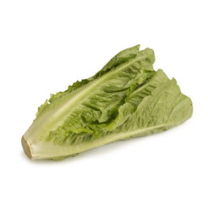 sałata rzymska klasa i hiszpania 1szt