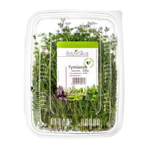 Tymianek cięty izrael 100 g baziółka