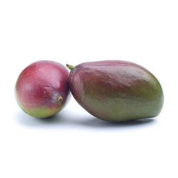 mango rte brazylia 2szt 1e83cd97543e2149506dd07328de315b