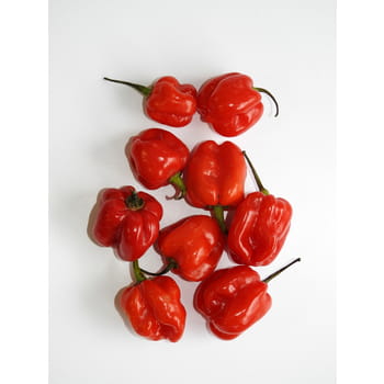 Papryka ostra habanero czerwona holandia 75 g 59e1408ef4359447cc3db202209f3517