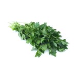 Pietruszka nać pęczek włochy 30 g