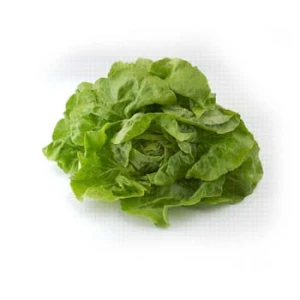 sałata masłowa klasa i polska 1szt