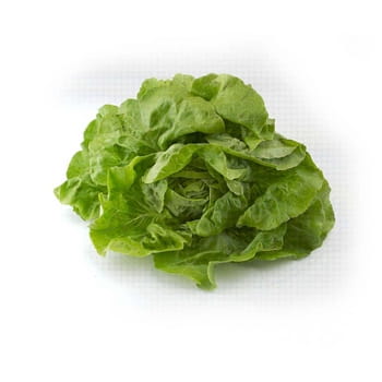 sałata masłowa klasa i polska 1szt d5dcf28142762612fcdb90f447dc92ea