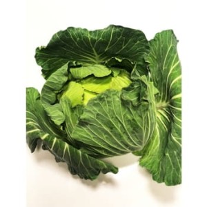 kapusta biała wczesna macedonia 1szt