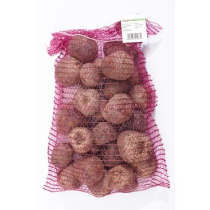 Burak czerwony polska 5 kg