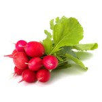 Rzodkiewka pęczek polska 1 szt