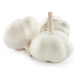 czosnek wczesny egipt 3szt