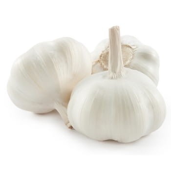 czosnek wczesny egipt 3szt 3abe6f0b1f31559d2f31f499018a6ce4