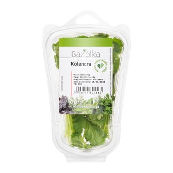 Kolendra cięta 30 g baziółka 9e18629f8bfee1ba9214f407e5e5e1f5