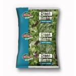 Sałatka salsa mix z radicchio unia europejska 500 g eisberg