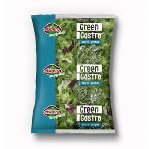 Sałatka salsa mix z radicchio unia europejska 500 g eisberg