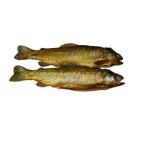 Ryba PSTRĄG PATROSZONY WĘDZONY NA GORĄCO ok. 0,3 kg