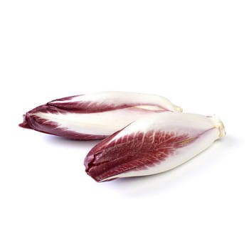 Cykoria czerwona polska 250 g 5dad1ee05f39e1652027b554dfe88f28