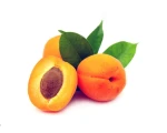 Morela ok. 500 g