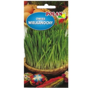 Owies wielkanocny