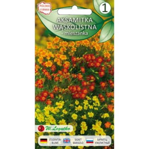 Aksamitka wąskolistna mieszanka 0,5 g Seria bazowa Legutko