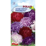Aster Chiński Piwoniowy - mieszanka Polan