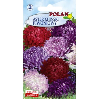 Aster Chiński Piwoniowy - mieszanka Polan ae0daa363affe115966cd3ba728cffc6