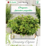 Oregano, Lebiodka pospolita Legutko