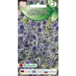Mikołajek płaskolistny Eryngium planum niebieskie 0,2 g Legutko