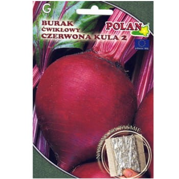 Burak ćwikłowy Czerwona Kula 2 na taśmie 120 nasion 0edd5f404818d843d8d8eef729cd698d