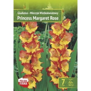 Kapers Gladiolus Mieczyk Princess Margaret Rose 10/12 7 szt.