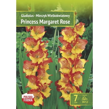 Kapers Gladiolus Mieczyk Princess Margaret Rose 10/12 7 szt. bafca40ec3c09a20a0c5530e9db16b39
