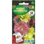 Malwa ogrodowa Majorette
