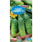 Ogórek gruntowy Liberty-mieszaniec