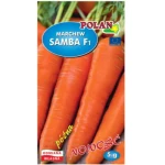 Marchew jadalna Samba - mieszaniec