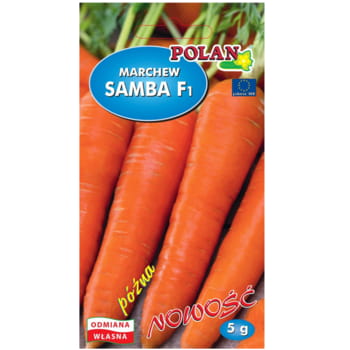 Marchew jadalna Samba - mieszaniec 672699b9c23dd523fbba73ca1d7fa1ba