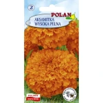 Aksamitka wysoka pełna Polan