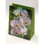 tg-20 ozdobna papierowa torebka prezentowa