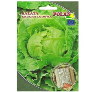 Sałata głowiasta krucha
