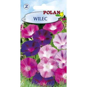 Wilec Polan 7d3b279e799181777c47e475134498e7