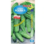 Ogórek gruntowy Polan mieszaniec otoczka 50 nasion