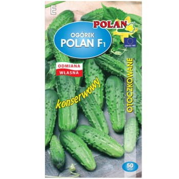Ogórek gruntowy Polan mieszaniec otoczka 50 nasion c90913a14833da60f2157267cecd1d95