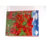 B-46160 album klej. 160 zdjęć, 10x15