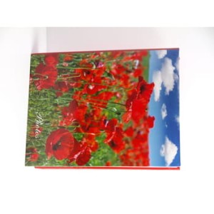 B-46160 album klej. 160 zdjęć, 10x15
