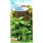 Bazylia pospolita Polan